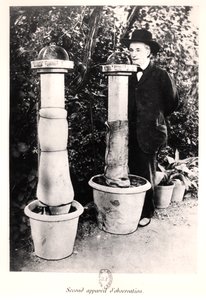 Jean-Henri Fabre (1823-1915) uit Souvenirs Entomologiques, gepubliceerd in 1924 door French Photographer